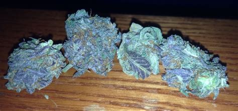 Picked Up An Ounce Of A New Strain Purple Bubba Kush Trees