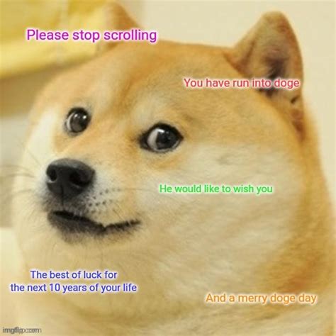 Merry Doge Day Everyone And May God Be With You All Imgflip