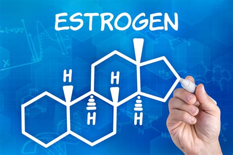 Human Estrogens Revolution Health And Wellness