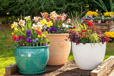 How To Make Beautiful Flower Pots At Home Pots Planter Tiered The Art
