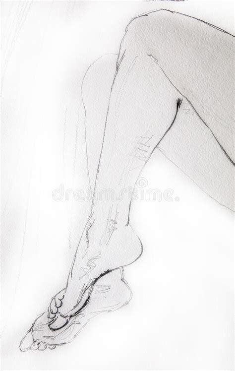 Pencil Drawing Sexy Girl Stock Illustrations 382 Pencil Drawing Sexy