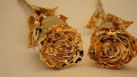 Natural Real Rose 24k Gold Dipped Plated Trimmed Rose Gold Buy Gold