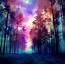 Colorful Forest  Magical Scenery Pictures