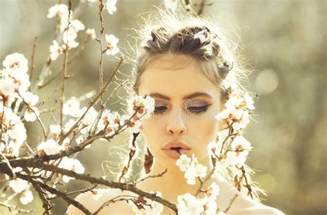 Girl In White Cherry Or Apricot Spring Flower Blooming Stock Image