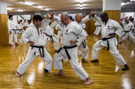 Shotokan Karate It Was 30 Years Ago Today Budo Japan
