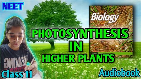 Ch Photosynthesis In Higher Plants Class Biology Ncert Reading