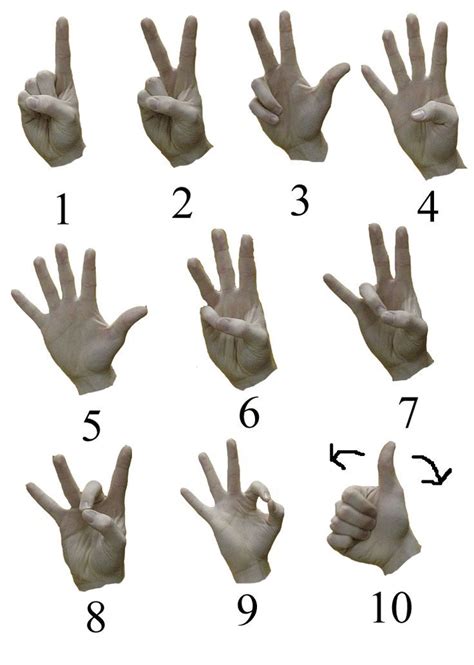 American Sign Language Numbers Chart Sign Language Sign Language