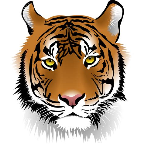 Bengal Tiger Cat Clip Art Tiger Png Download 24002400 Free