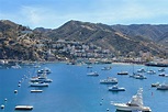 6 Adventurous Things to do in Catalina Island - Around The World with ...