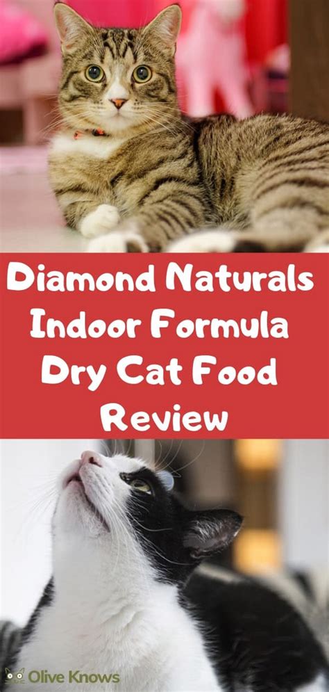 Our picks for the best cat foods for indoor cats. Diamond Naturals Indoor Formula Dry Cat Food Review ...
