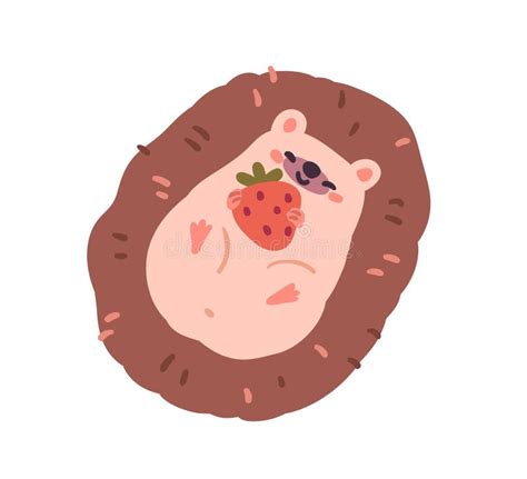 Cute Funny Hedgehog Lying With Berry Happy Smiling Forest Animal