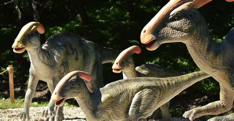 Beyond Jurassic World What We Really Know About Dinosaurs And How
