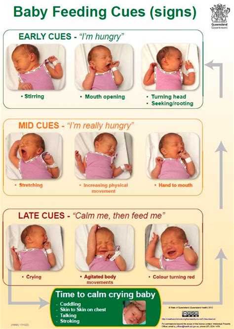 Visual Guide This Is How To Tell If Your Newborn Is Hungry