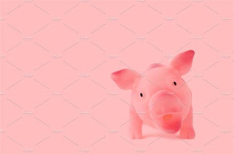 Little Pink Pig On Pink Background Animal Photos Creative Market
