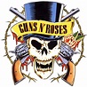 Guns N' Roses Logo | Guns n roses, Guns and roses, Guns