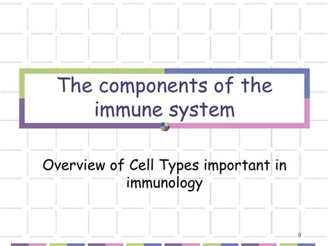 Ppt Overview Of The Immune System Powerpoint