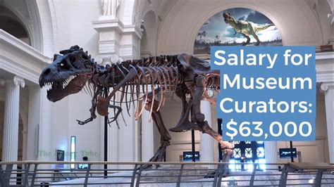 Museum Curator Salary 63000 Job Requirements Details Youtube