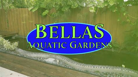 Bellas Aquatic Gardens Pond Maintenance Youtube