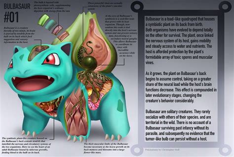 El Libro De Anatomía Que Muestra El Interior De Los Pokémon Libros De Anatomia Pokemon
