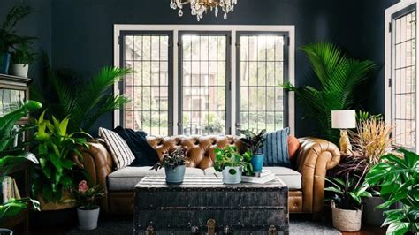 Plant Lover Living Room Zoom Background Living Room Background Cozy