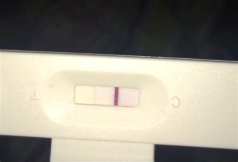 Pregnancy Test Shows Faint Line After Few Hours Pregnancywalls