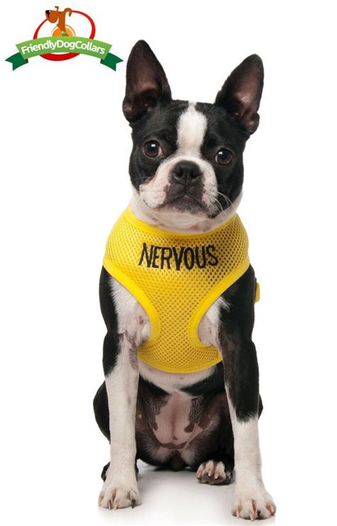 Nervous Dog Vest Harness Dog Collars Leads And Harnesses Harnesses