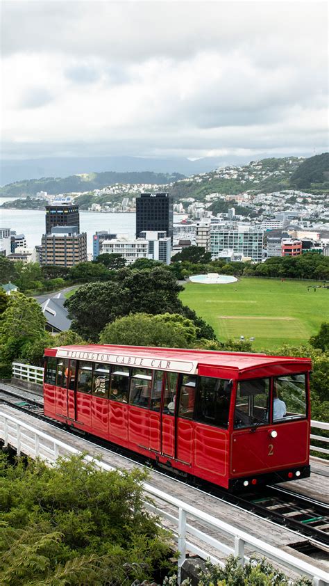 Discover the Best Things to Do in Wellington City