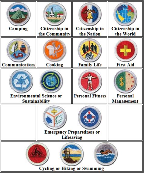 Download High Quality Eagle Scout Logo Merit Badge Transparent Png