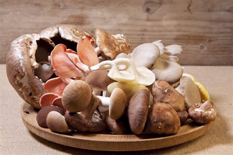 Which Mushroom Is Healthiest All Mushroom Info