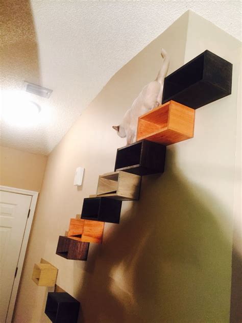 Cat Stairs Almost Done