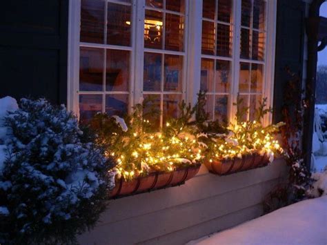 Christmas Window Dressing Fill Window Boxes With Cedar And Boxwood