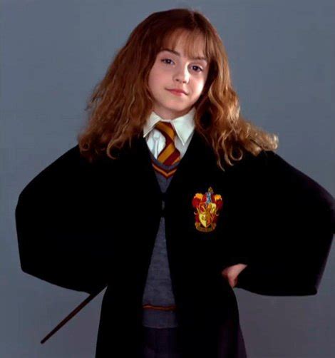 Hermione Harry Potter Photo 34233333 Fanpop