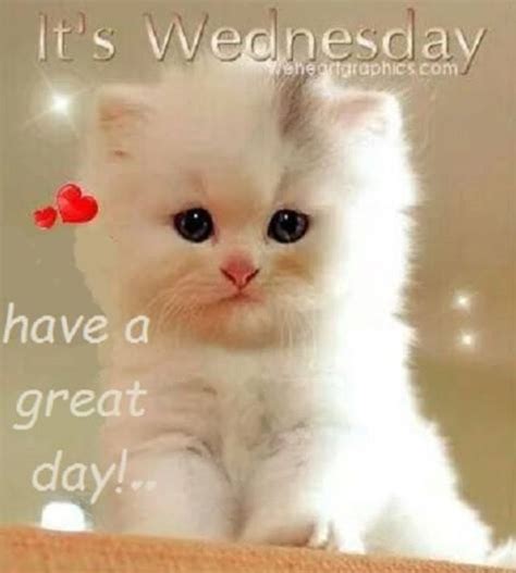 Its Wednesday Good Morning Wednesday Wednesday Quotes Its Wednesday