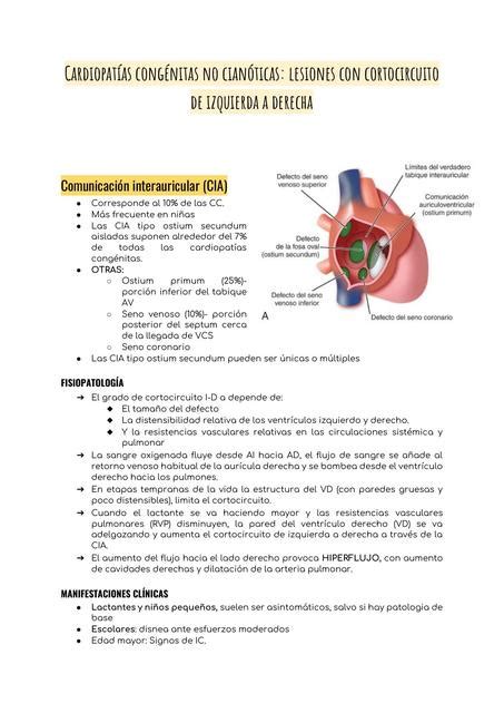 Cardiopatías Congénitas Medicina En La Uner Udocz