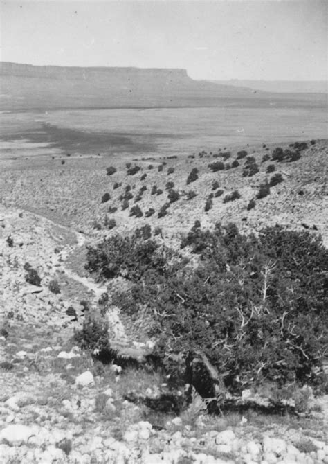 Scenic Vistarest Stop On United States Highway 89 Overlooking