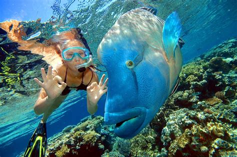 Great Barrier Reef Australia Travel Devotion