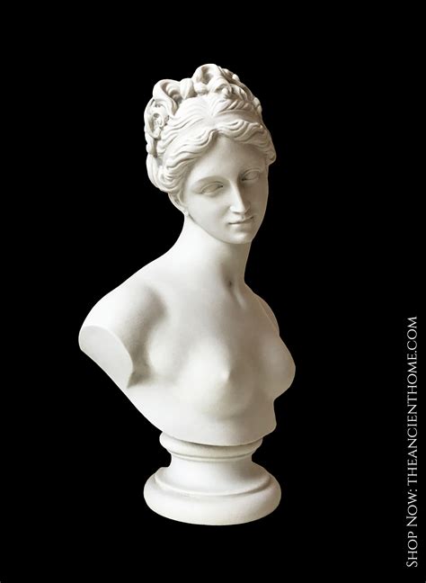 Venus Bust Sculpture Goddess of Love2020 彫刻 像 明暗
