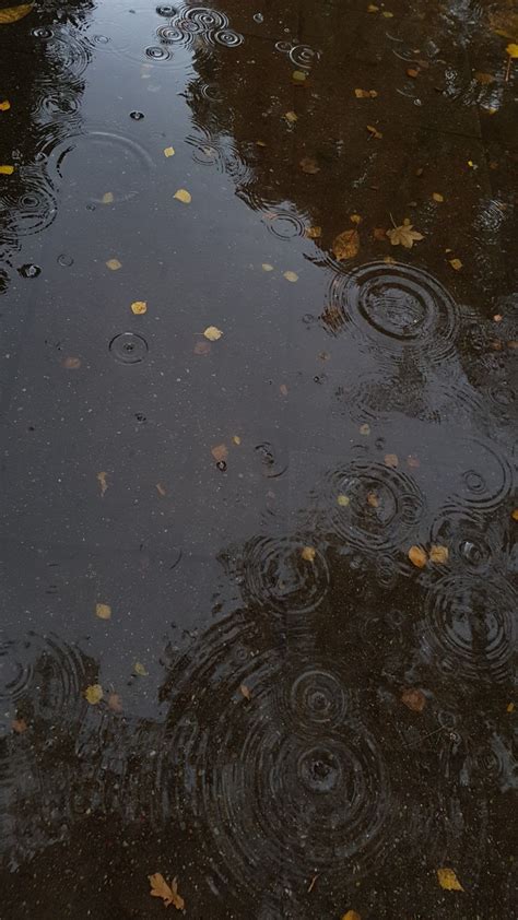 Instagram Picture Quotes Instagram Pictures Rainy Day Aesthetic Rain