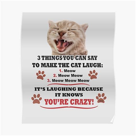 3 Things You Can Say To Make The Cat Laugh Poster For Sale By Ej Sulu