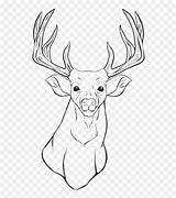 Deer Coloring Drawing Elk Reindeer Head Book Tailed Hd Vhv sketch template