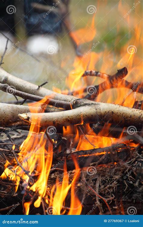 Bonfire Campfire Fire Flames Grilling Steak On The Bbq Stock Image