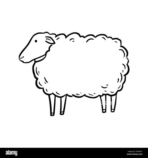 Hand Drawn Sheep Doodle Sketch Style Drawing Line Simple Sheep Icon