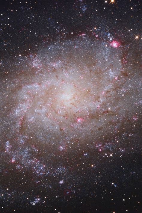 Galaxy M33 In The Triangle In The Small Constellation Of The Northern