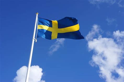 Sveriges nationaldag - Mediekompass