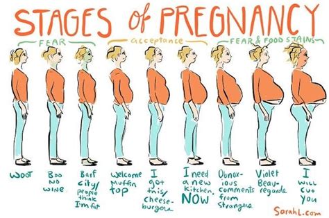 19 Hilarious Pregnancy Memes Youll Get A Kick Out Of Not From The Baby