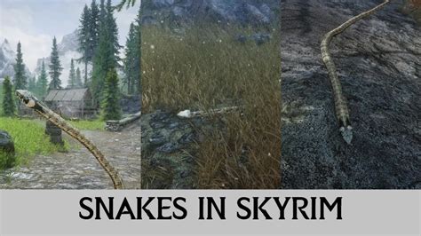 Skyrim Mod Snakes Serpents Elements Of Skyrim Youtube