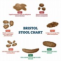 what is the bristol stool chart adult human poop chart stool color ...