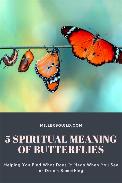 5 Spiritual Meaning Of Butterflies