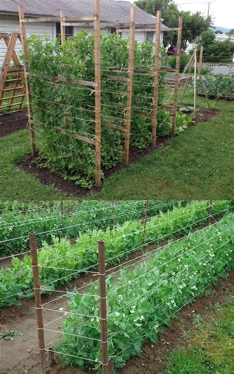 As you can see in the image, you need to build the legs from 4×4 lumber, while the supports should be made out of 1×8 lumber. 15 Easy DIY Cucumber Trellis Ideas in 2020 | Diy garden ...