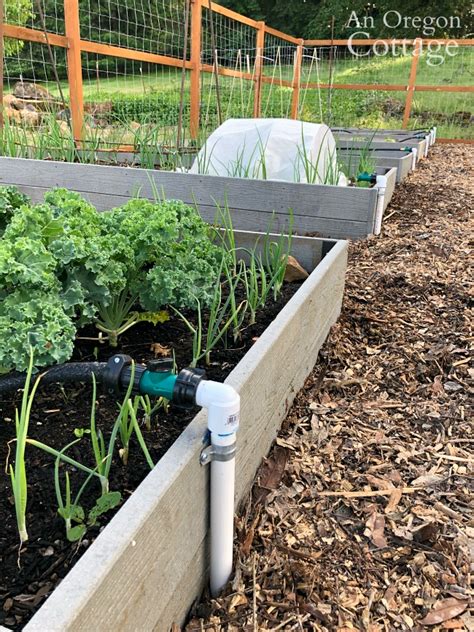 How To Irrigate Raised Beds 5 Step Guides 2024